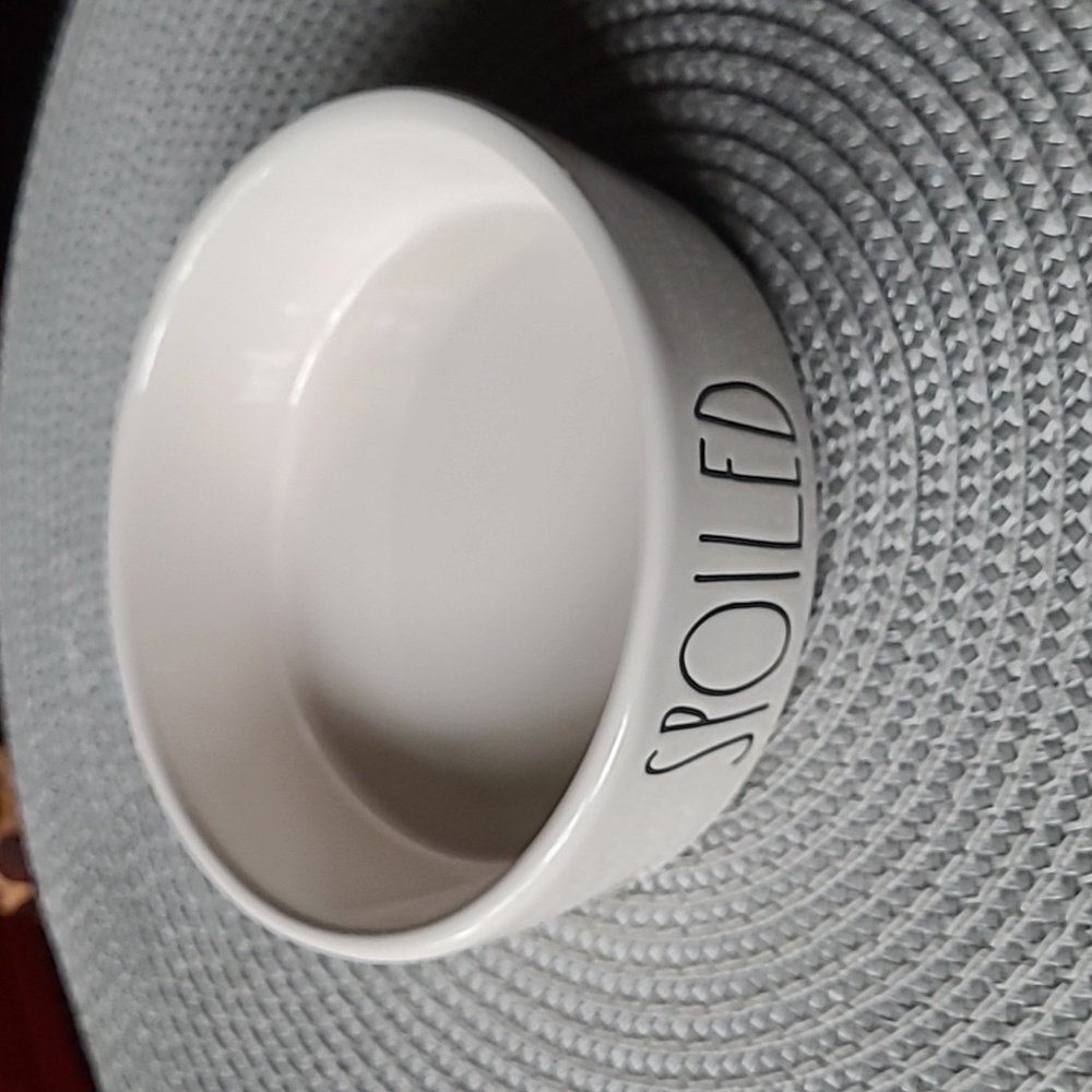 Rae Dunn Pet Dish